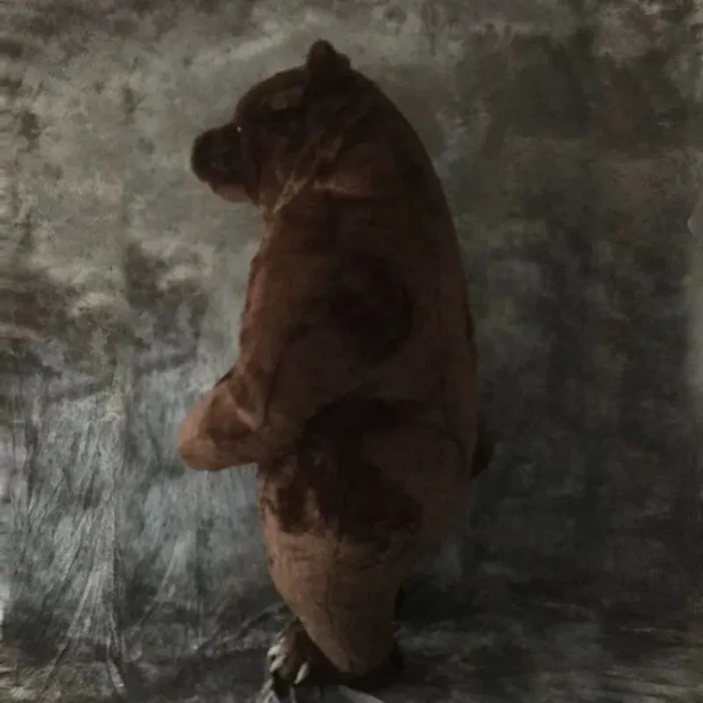 Opblaasbaar bruin beer mascott - Chargers recensie en prijs